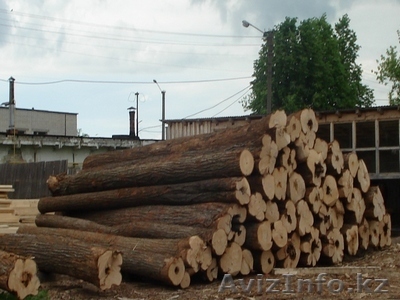 Вагонка,двери,аксессуары из липы. - Изображение #1, Объявление #9062