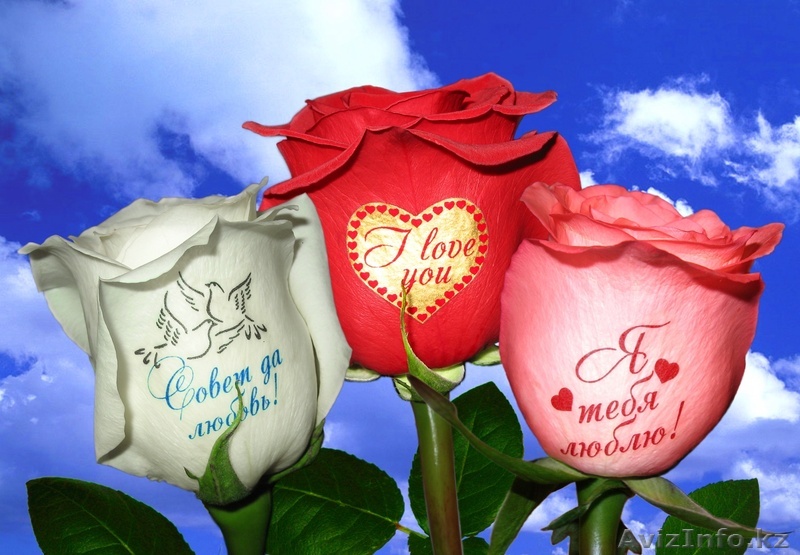 Цветы Цветы Цветы  - Изображение #1, Объявление #150838