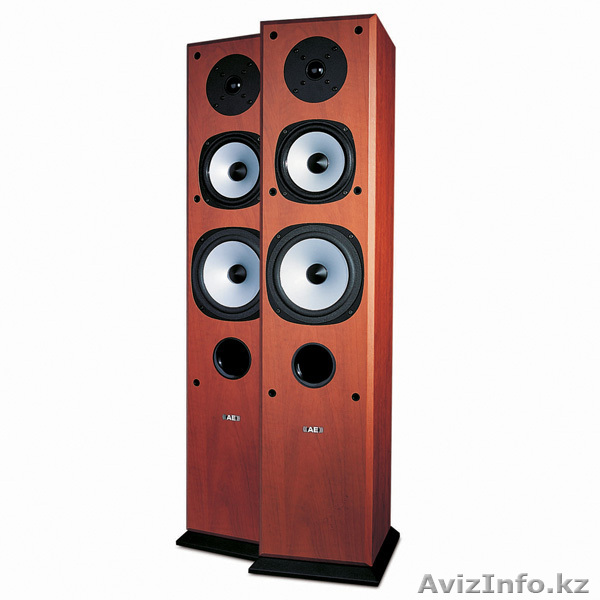 Напольная акустическая система Acoustic Energy Aegis EVO 3 - Изображение #1, Объявление #265425