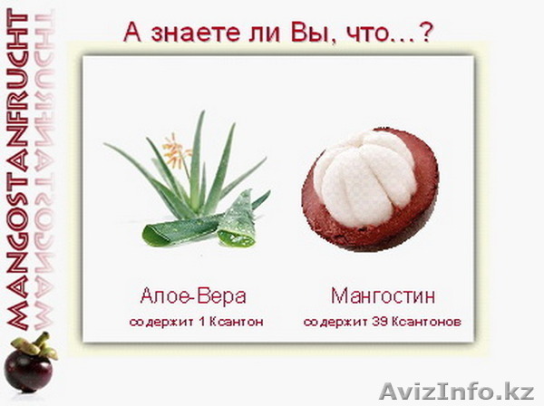 Xango +7-777-666-8437 - Изображение #1, Объявление #385081