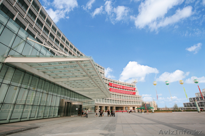 Tiens Group Corporation - Изображение #1, Объявление #556355