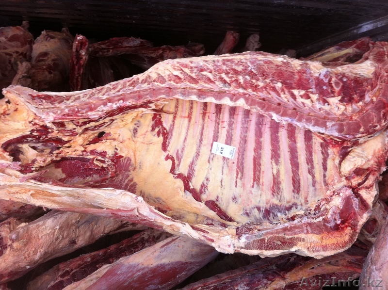 Продам говядину Беларусь коровы 110   - Изображение #1, Объявление #883197