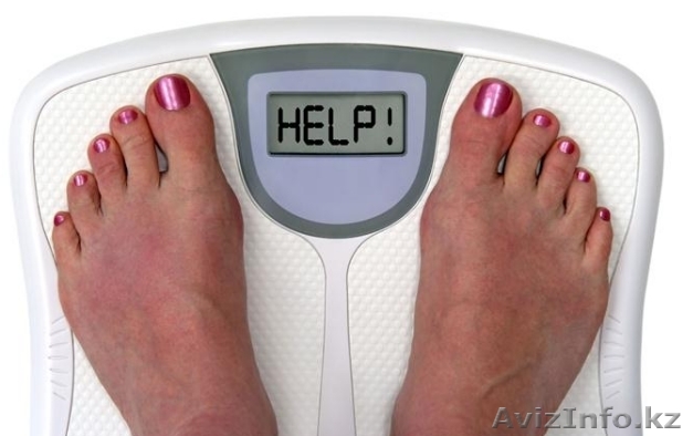 ПОХУДЕНИЕ! Консультация бесплатно! - Изображение #1, Объявление #897913