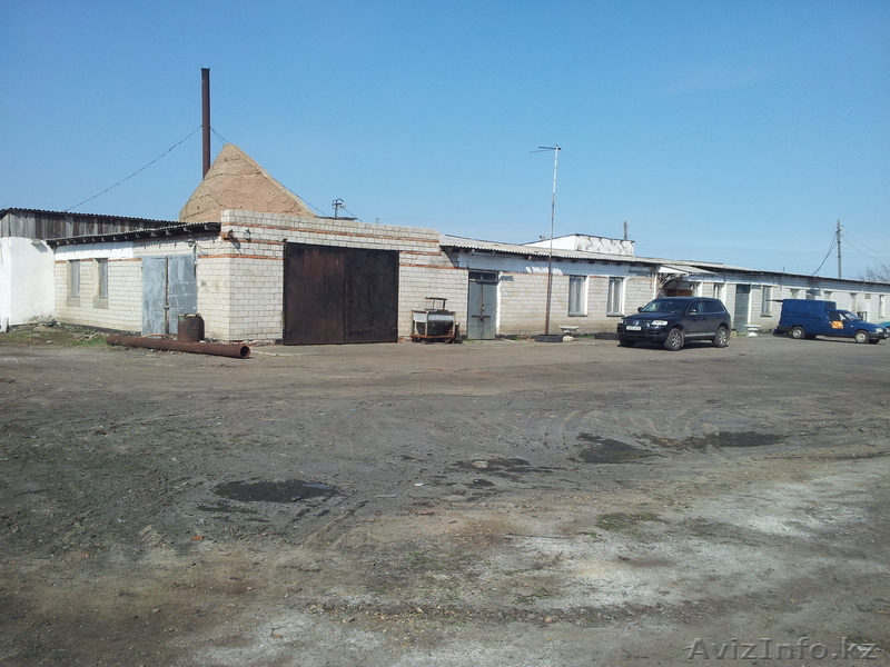 действующий убойный пункт,колбасный цех,база. - Изображение #1, Объявление #919930