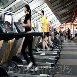 Напольное спортивное покрытие CLASSIC в Павлодаре - Изображение #1, Объявление #987317