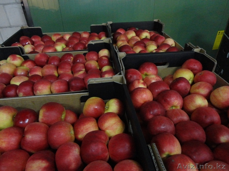 Польша ALDA Sp.J tel. +48 601158947 - Изображение #1, Объявление #1008885