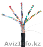 Кабель NETLAN U/UTP 25 пар, Кат.5, внешний, PE -40C, одножильный, 100МГц, черный - Изображение #1, Объявление #1016128