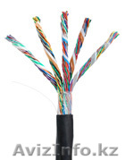 Кабель NETLAN U/UTP 50 пар, Кат.5, внешний, PE -40C, одножильный, 100МГц, черный - Изображение #1, Объявление #1016129