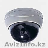 Купольная камера-D102 - Изображение #1, Объявление #1047569