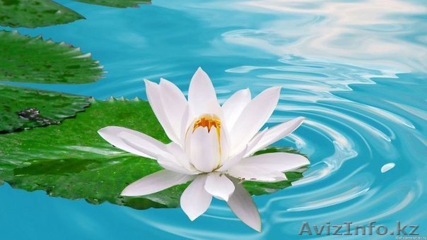 Проводится набор в группу йоги - Изображение #1, Объявление #1062143