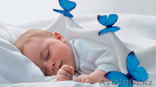 Устранение неприятных запахов после ремонта, пожара, прежних жильцов - Изображение #1, Объявление #1083146