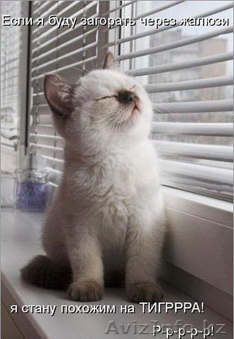 Аубакиров ИП Жалюзи - Изображение #1, Объявление #1083209