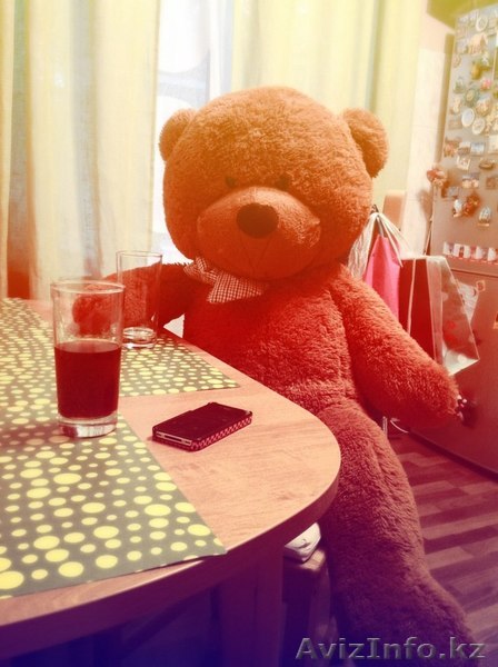Большие Плюшевые Медведи Павлодар! Размеры  140-160-180 см - Изображение #1, Объявление #1129821