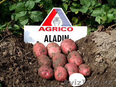 Фермерское хозяйство МАКС - Изображение #1, Объявление #1232043