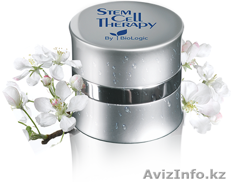 Крем Стем Селл Терапи - Изображение #1, Объявление #1275632