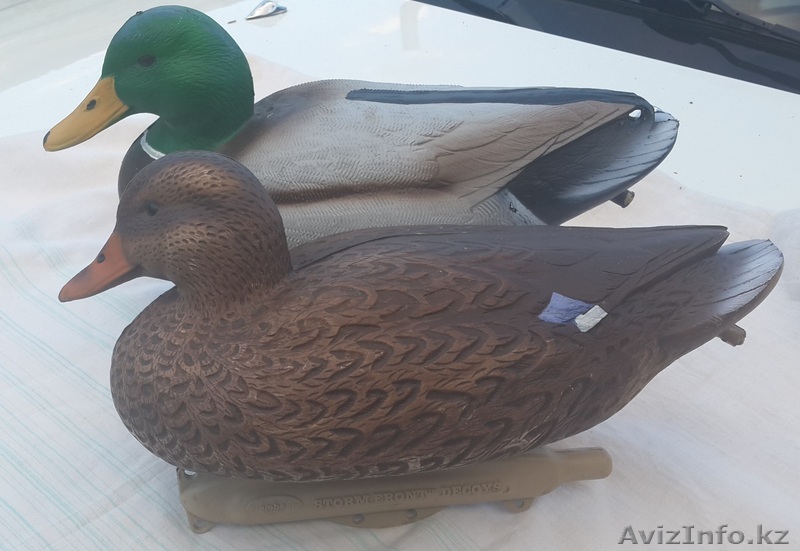 Утиные чучела пластиковые - Изображение #1, Объявление #1301731