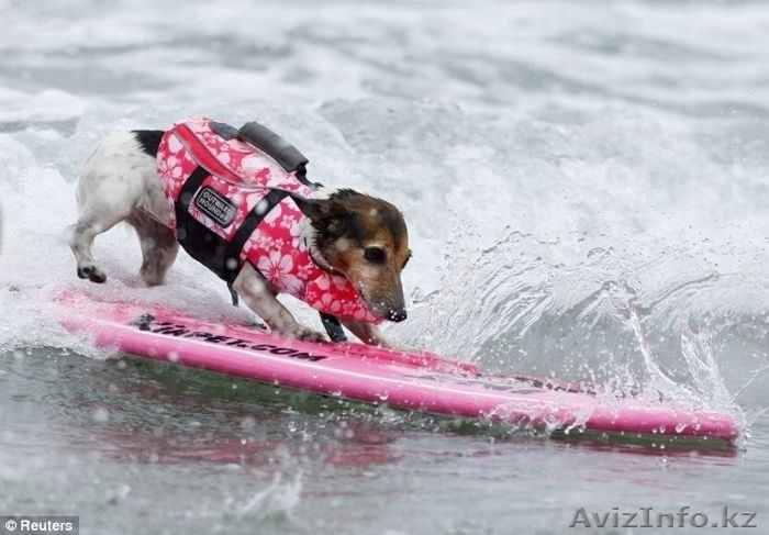 горящий тур о.хайнань - Изображение #1, Объявление #1512960