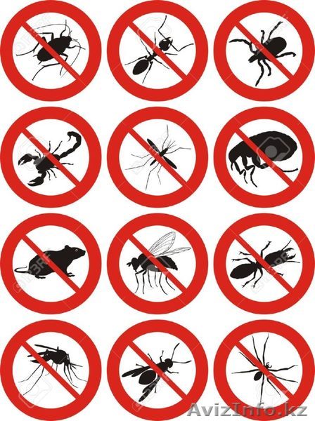  Дезинcекция и дератизация Павлодар - Изображение #1, Объявление #1561289