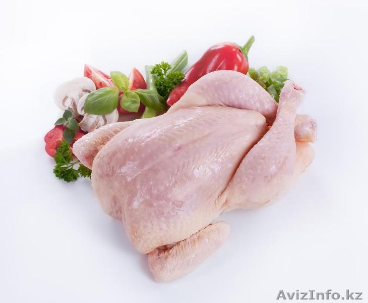 Продам мясо курицы - опт - Изображение #1, Объявление #1564213