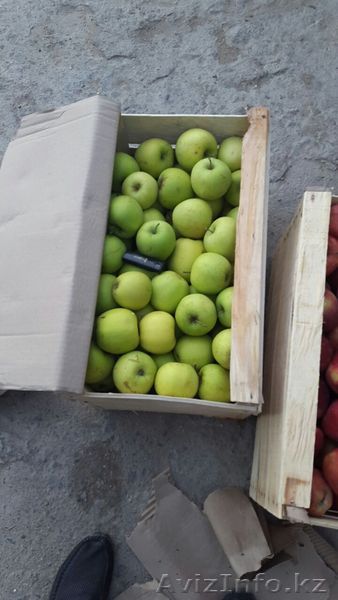 Яблоки Азербайджанские - Изображение #1, Объявление #1500913