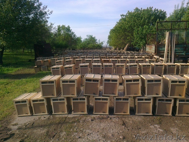 Производим заявку на продажу пчелопакетов на весну 2018 года породы Карпатка. - Изображение #1, Объявление #1612490