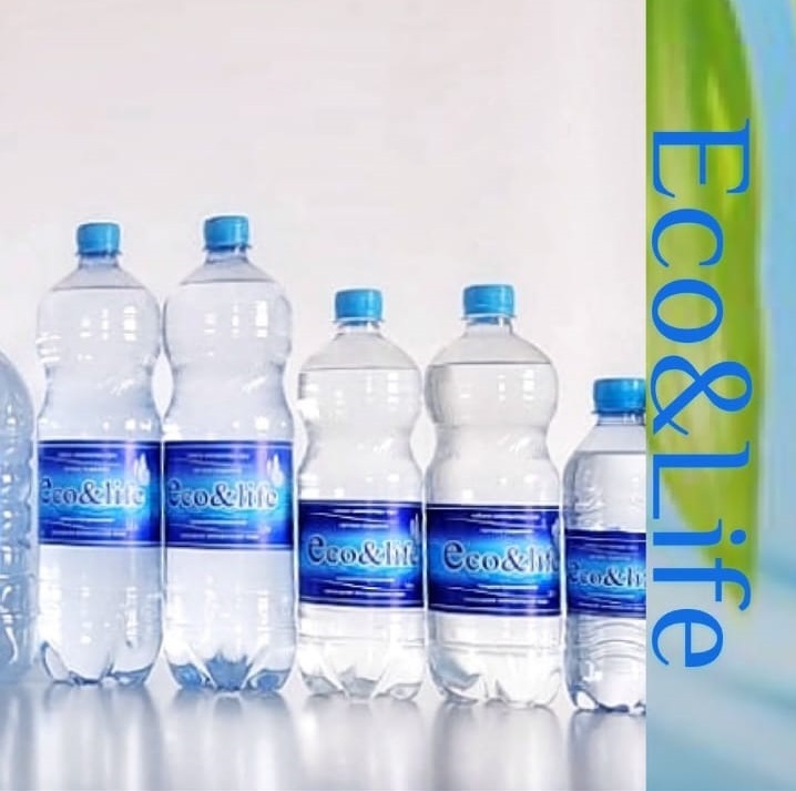 Вода Минеральная Питьевая «Eco&Life» 1л - Изображение #1, Объявление #1731149