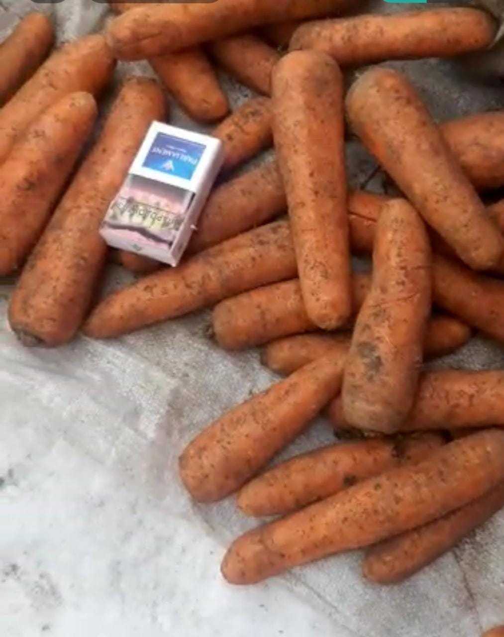 Морковь - Изображение #1, Объявление #1734168