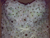 super dress !!! - Изображение #1, Объявление #117165