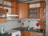 Трехкомнатная улучшенная квартира рядом с Новой Мечетью (г. Павлодар) - Изображение #7, Объявление #483428