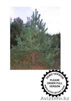 ТОО Best Garant KAZ - Изображение #3, Объявление #750239