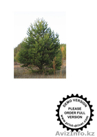 ТОО Best Garant KAZ - Изображение #2, Объявление #750239