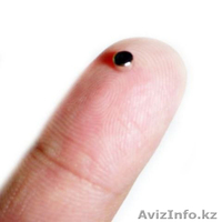 Микронаушники, доставка по Казахстану 900 тнг. - Изображение #1, Объявление #911385