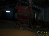 Крестьянское Хозяйство "Базарбай" - Изображение #3, Объявление #933317