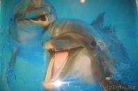 Наливной дизайнерский пол в Павлодаре - Изображение #1, Объявление #972405