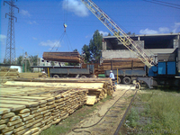 Изготовление и продажа изделий  из дерева  - Изображение #2, Объявление #1232706