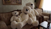 Продам больших плюшевых медведей. - Изображение #1, Объявление #1513375