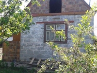 Сосновый бор  1 - Изображение #3, Объявление #1542483