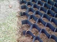 георешетка 100/160*160 - Изображение #2, Объявление #1564660