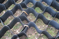 георешетка 50/160*160 - Изображение #3, Объявление #1564656