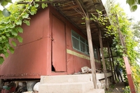 Продам дачу садоводство сосновый бор - Изображение #1, Объявление #1595151