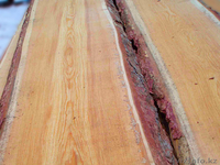 Доска необрезная.40-50мм - Изображение #1, Объявление #1601558