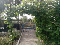 продается прекрасная дача - Изображение #7, Объявление #1601253