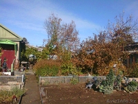 Дача садоводство Сосновый бор, 50 метров от трассы! - Изображение #4, Объявление #1600778