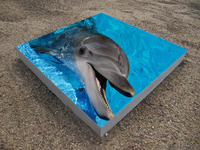 Requil Group - Изображение #3, Объявление #1667417