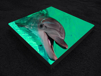 Requil Group - Изображение #9, Объявление #1667417