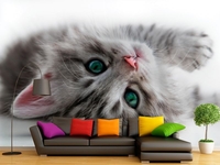  Фотообои на стену любого размера - Изображение #2, Объявление #1695094