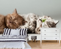  Фотообои на стену любого размера - Изображение #8, Объявление #1695094