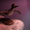 Чучело утки чирок-свистунок (селезень) - Изображение #3, Объявление #47037