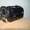 Срочно продам видеокамеру!Panasonic SDR-s26 - Изображение #1, Объявление #941366