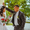 Свадебная фото и видеосъемка - Изображение #2, Объявление #998070